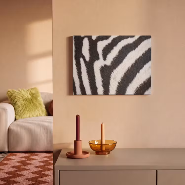 Zebra - Vacht - Klassiek - Zwart - Wit PET vilt klein -sfeer1