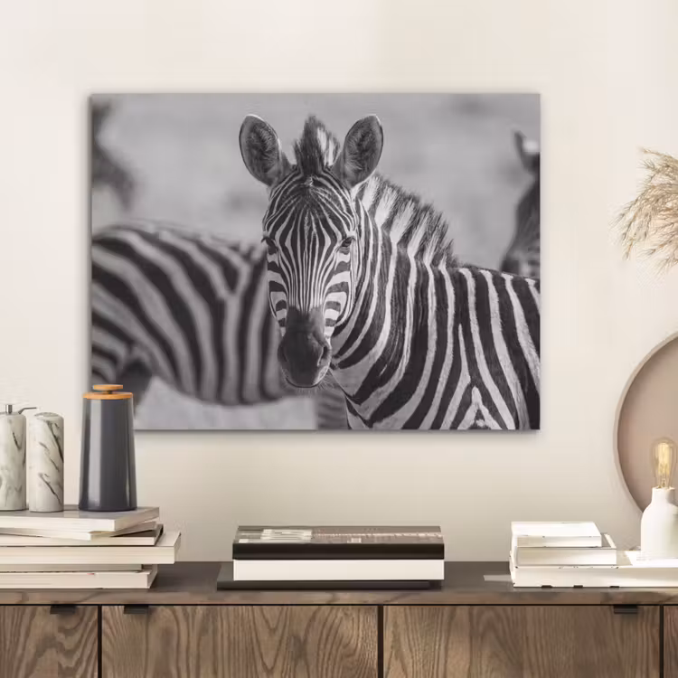 Zebra's - Zwart - Wit PET vilt klein -sfeer1