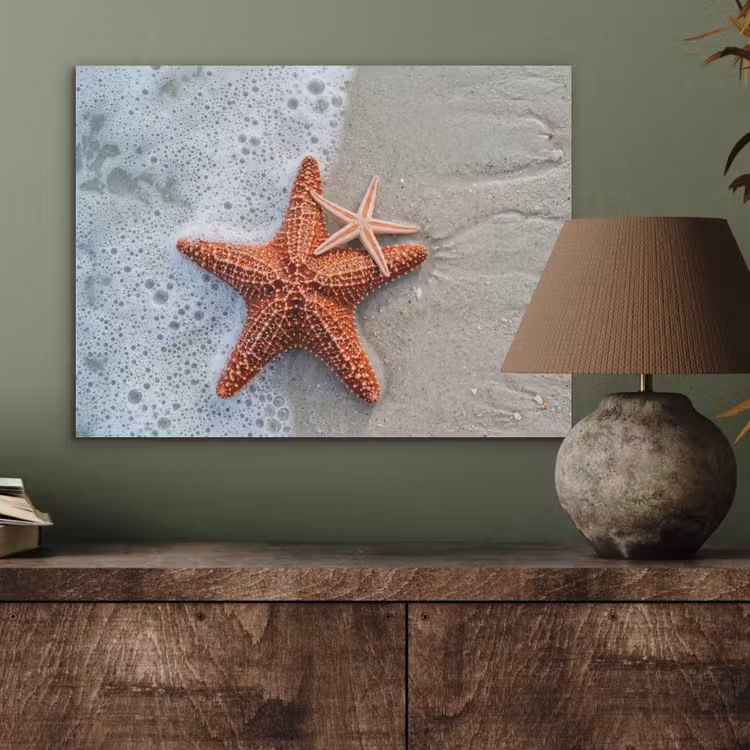 Zeester - Strand - Zee PET vilt klein -sfeer2