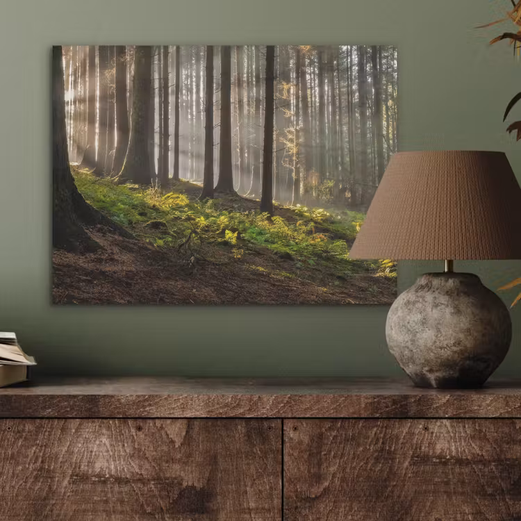 Zon - Takken - Bomen - Bos - Natuur PET vilt klein -sfeer2