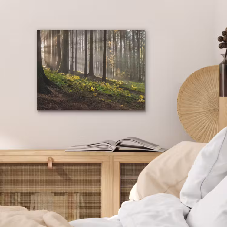 Zon - Takken - Bomen - Bos - Natuur PET vilt klein -sfeer3