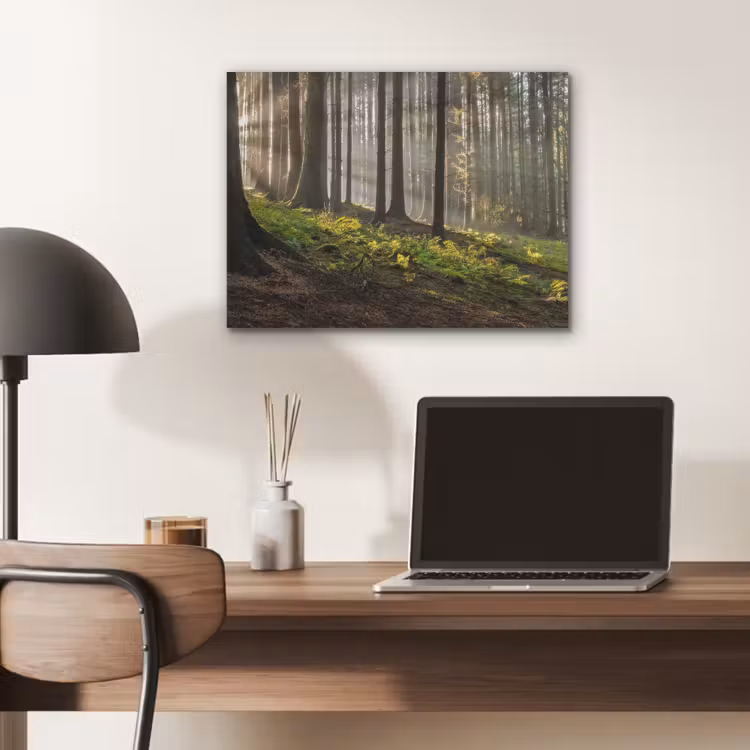 Zon - Takken - Bomen - Bos - Natuur PET vilt klein -sfeer5