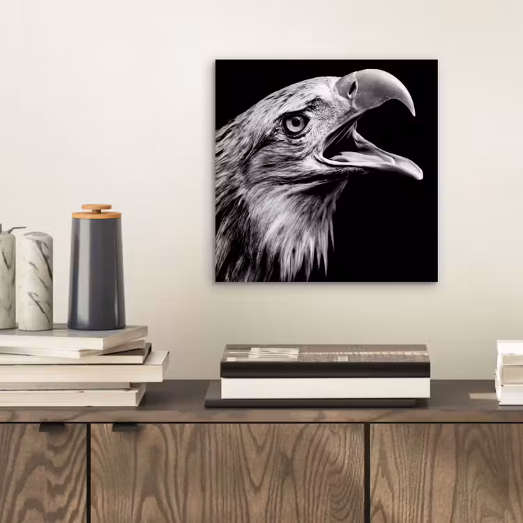 Adelaar - Portret - Roofvogels - Zwart - Wit - Vogel aluminium wit klein -sfeer1