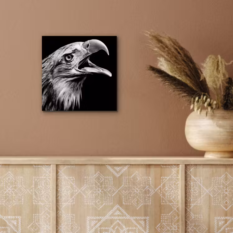 Adelaar - Portret - Roofvogels - Zwart - Wit - Vogel aluminium wit klein -sfeer4