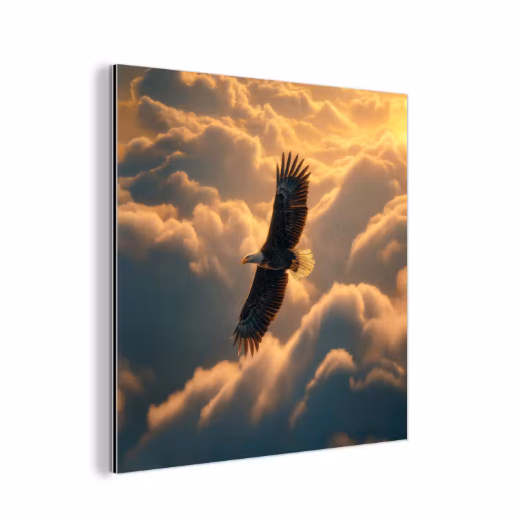 Adelaar - Wolken - Zon aluminium wit klein -3d