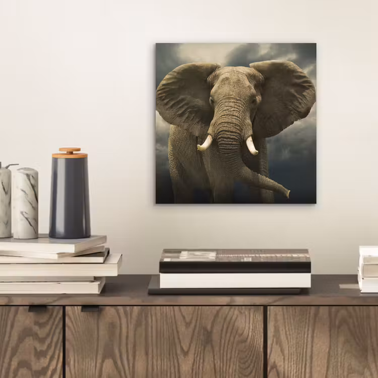 Afrikaanse olifant tegen de donkere wolken aluminium wit klein -sfeer1