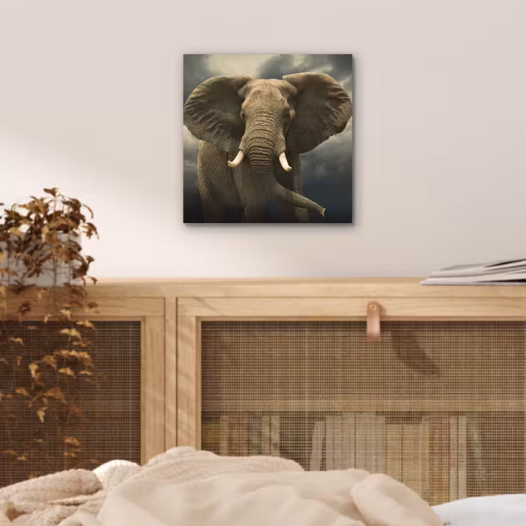 Afrikaanse olifant tegen de donkere wolken aluminium wit klein -sfeer3