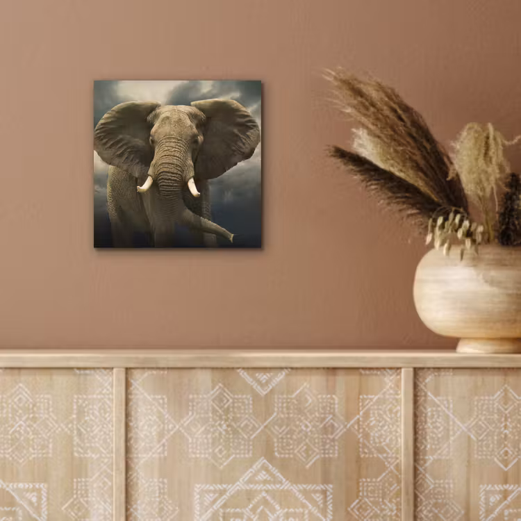 Afrikaanse olifant tegen de donkere wolken aluminium wit klein -sfeer4