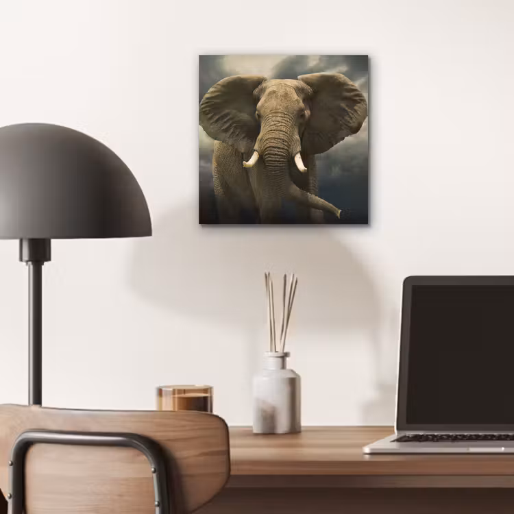Afrikaanse olifant tegen de donkere wolken aluminium wit klein -sfeer5
