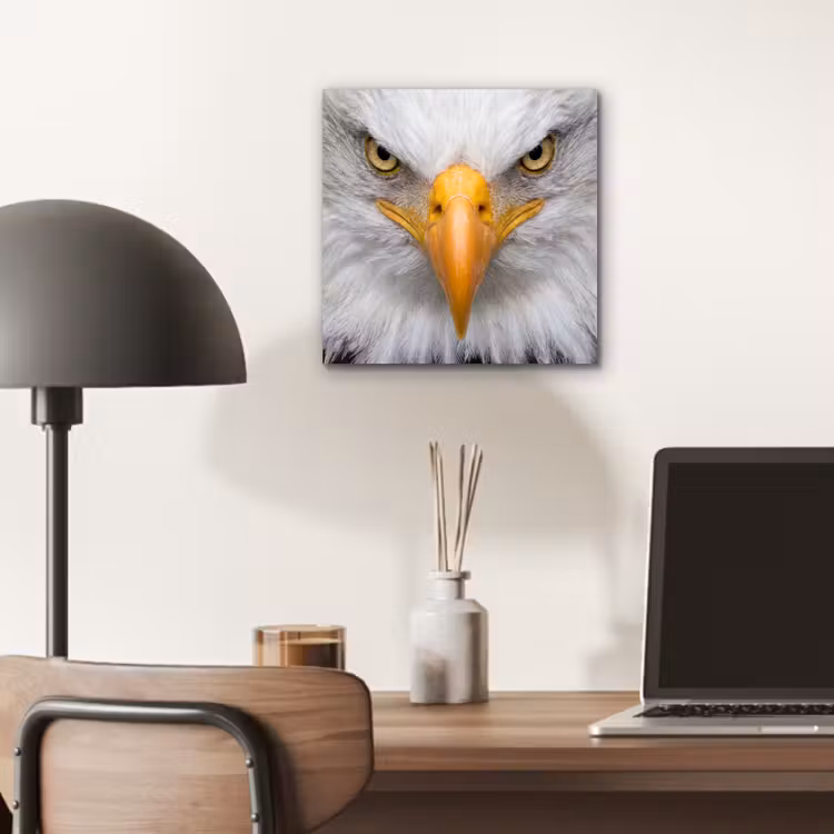 Amerikaans - Zeearend - Portret - Geel aluminium wit klein -sfeer5