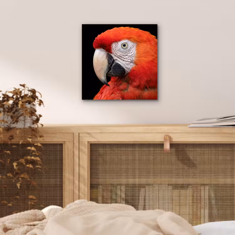 Ara - Portret - Rood aluminium wit klein -sfeer3