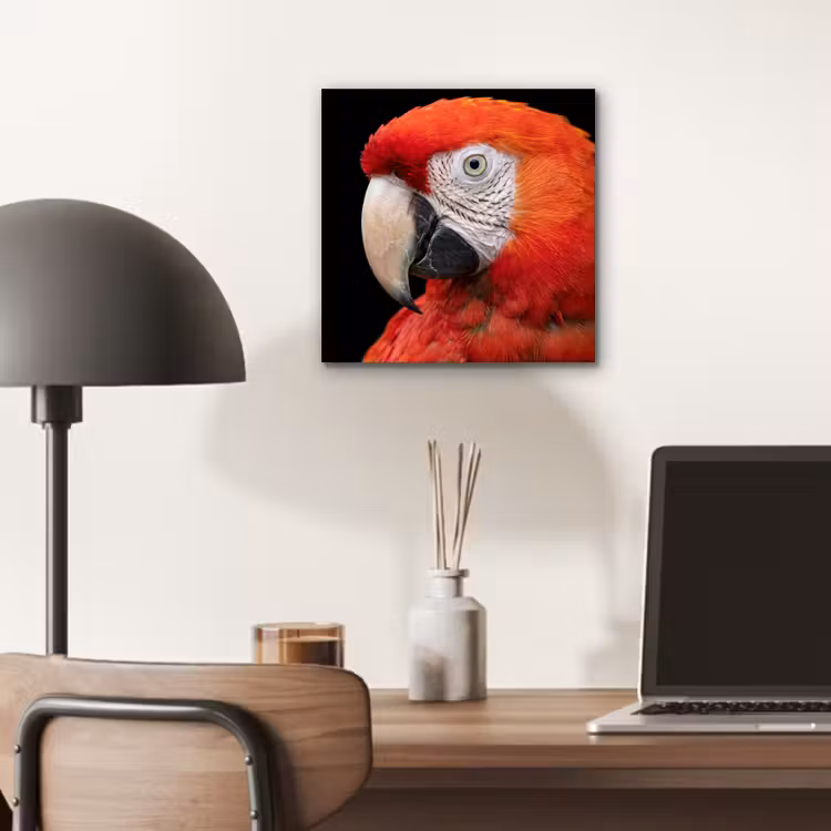 Ara - Portret - Rood aluminium wit klein -sfeer5