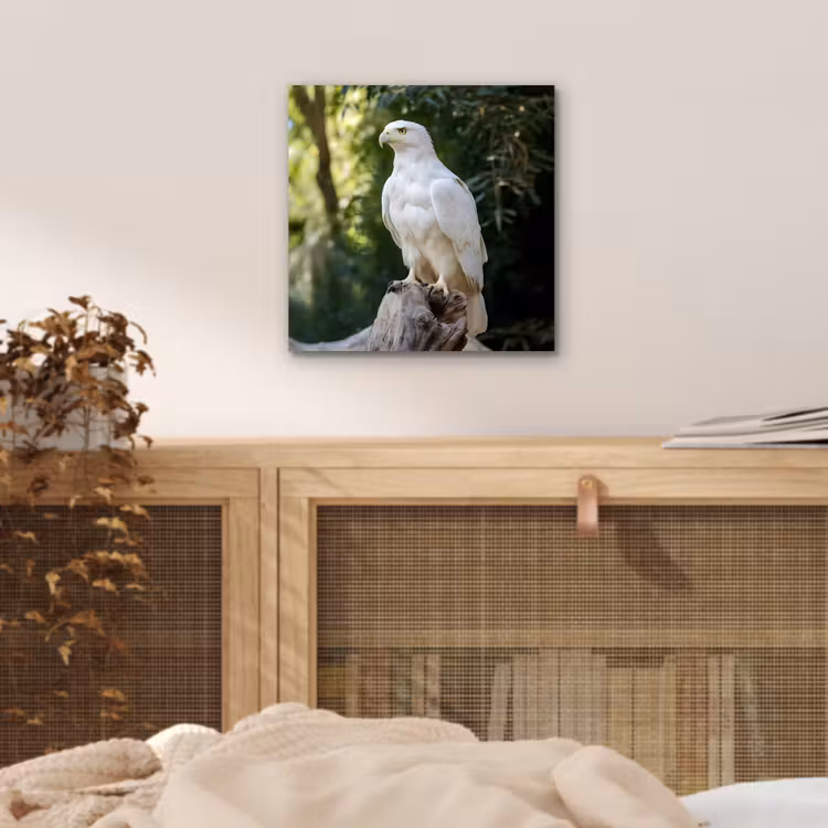 Arend - Hout - Wit - Planten aluminium wit klein -sfeer3