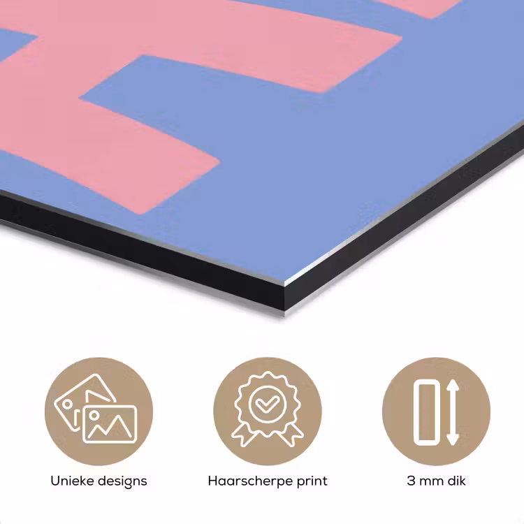 Art - Roze - Blauw aluminium wit klein -closeup_NL