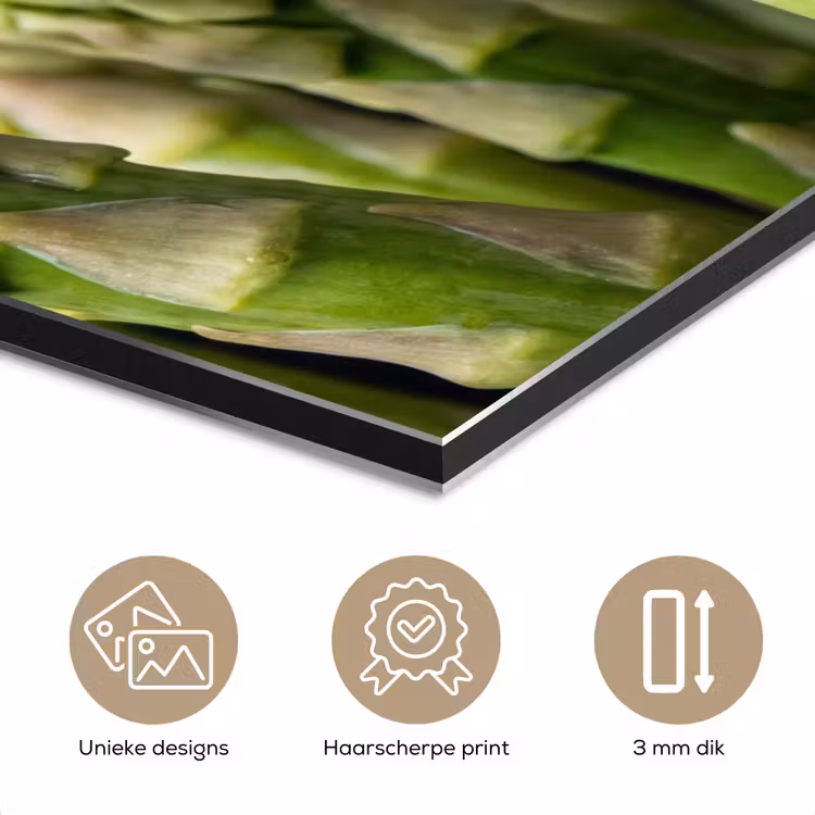 Asperges - Groen - Zwart aluminium wit klein -closeup_NL