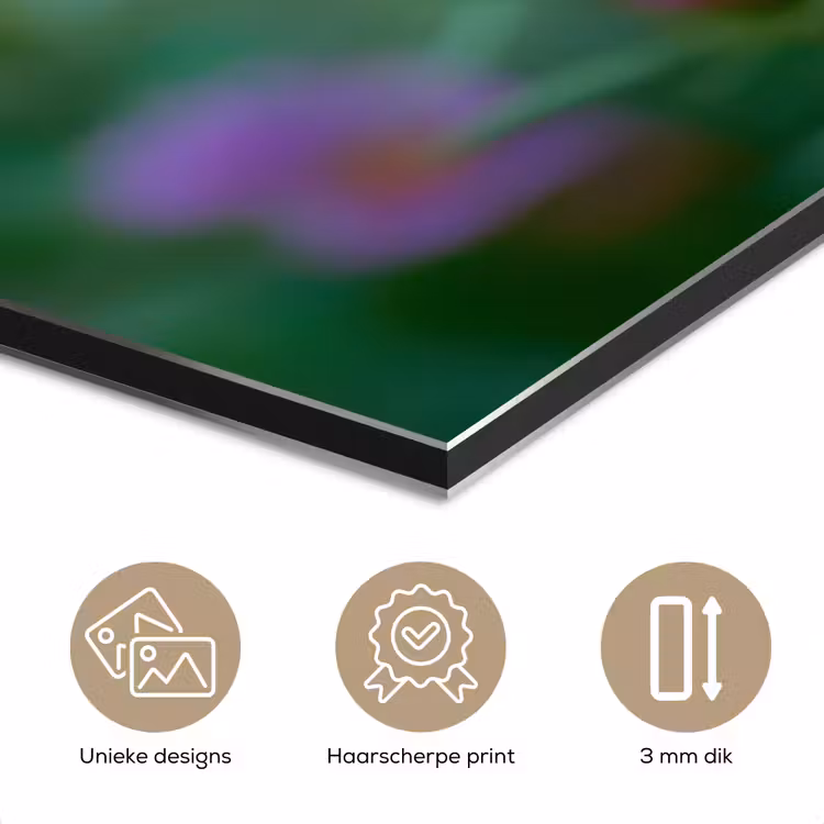 Aster - Paars - Bloem - Blaadjes aluminium wit klein -closeup_NL