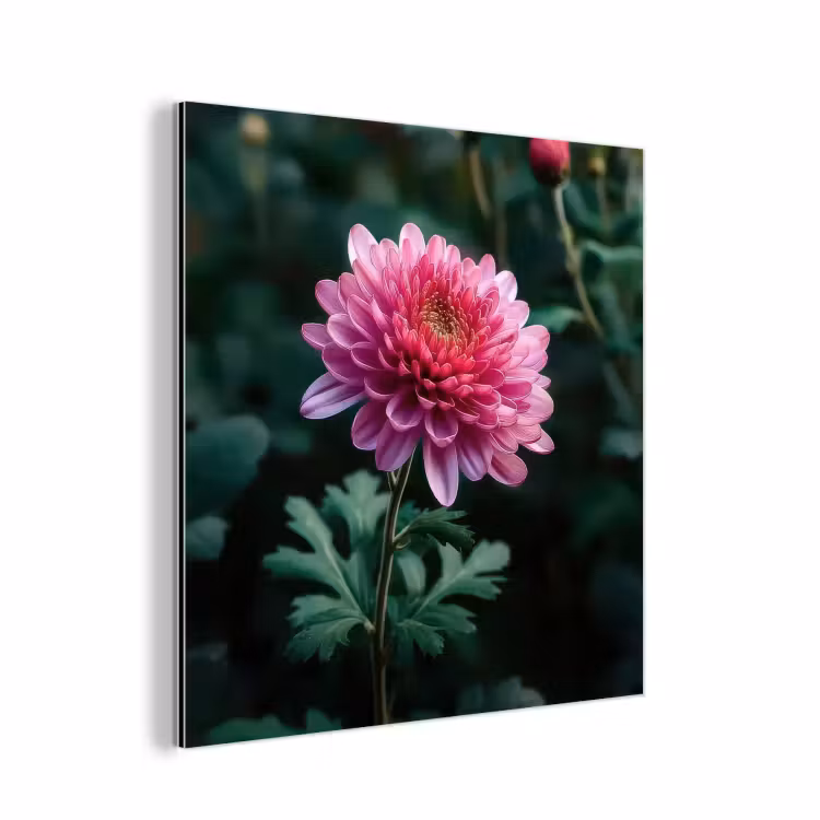 Blad - Chrysant - Roze - Schaduw aluminium wit klein -3d