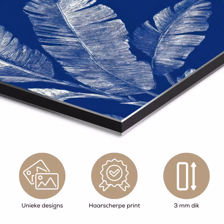 Blad - Palm - Blauw aluminium wit klein 46 -closeup_NL