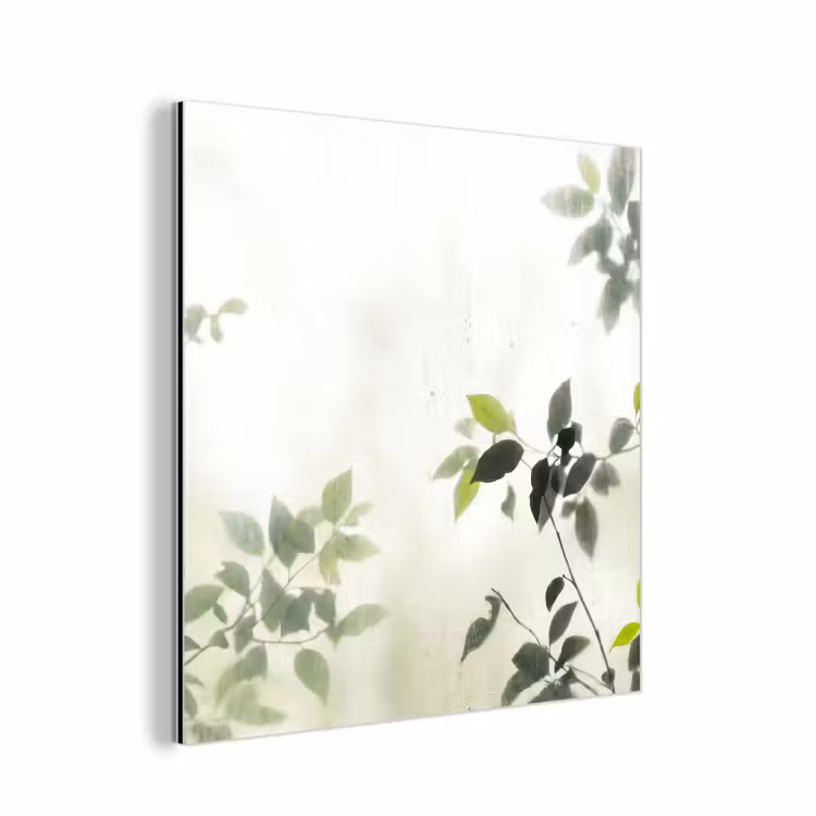 Blad - Schaduw - Natuur - Abstract - Groen aluminium wit klein -3d