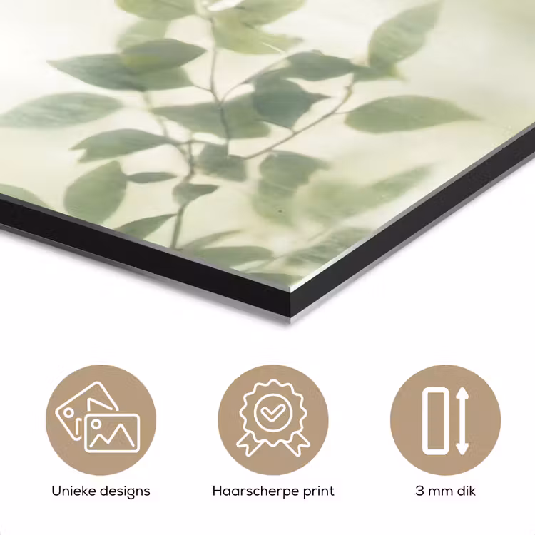 Blad - Schaduw - Natuur - Abstract - Groen aluminium wit klein -closeup_NL