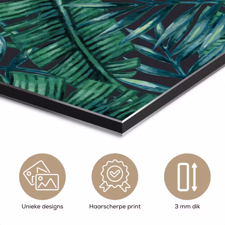 Bladeren - Tropisch - Jungle - Natuur aluminium wit klein -closeup_NL