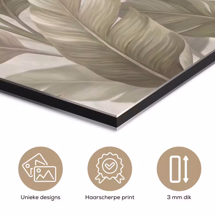 Bladeren - Tropisch - Natuur - Abstract - Beige aluminium wit klein -closeup_NL