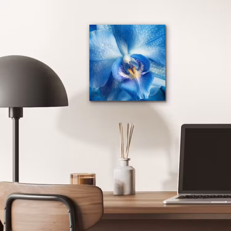 Blauw - Orchidee - Elegeant aluminium wit klein -sfeer5