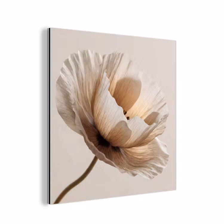 Bloem - Beige - Crème aluminium wit klein -3d