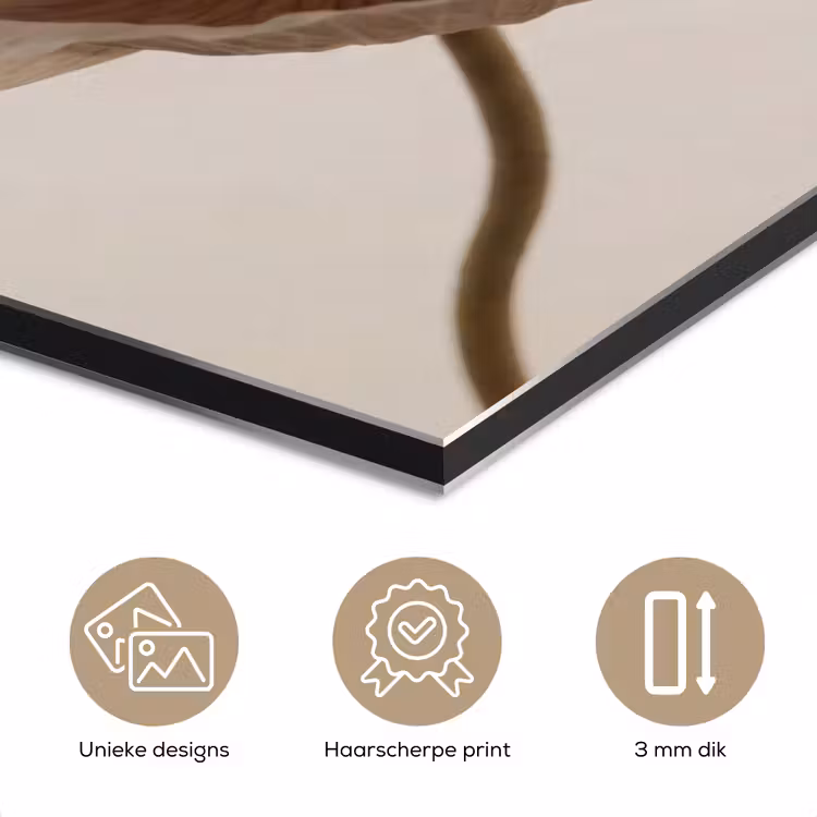 Bloem - Beige - Crème aluminium wit klein -closeup_NL