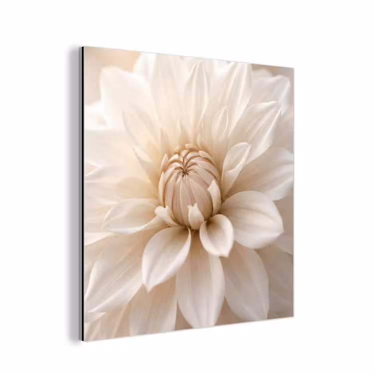 Bloem - Dahlia - Wit aluminium wit klein -3d