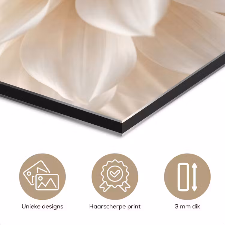 Bloem - Dahlia - Wit aluminium wit klein -closeup_NL