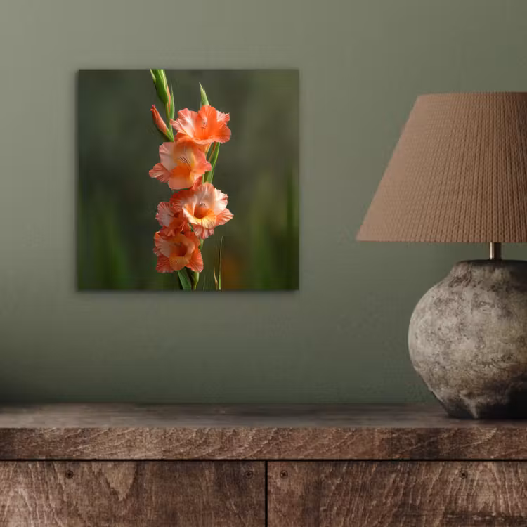 Bloem - Gladiolen - Zalmroze aluminium wit klein -sfeer2