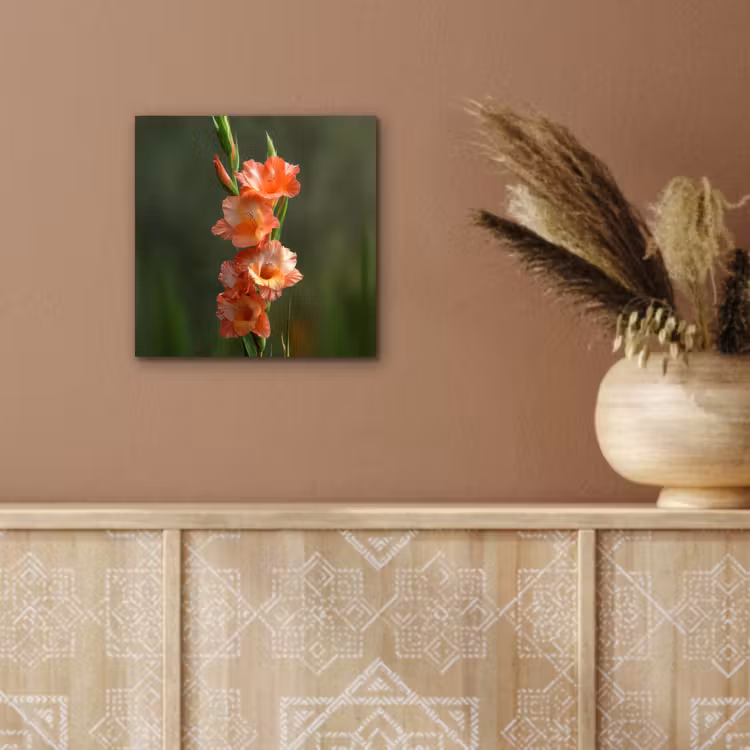 Bloem - Gladiolen - Zalmroze aluminium wit klein -sfeer4
