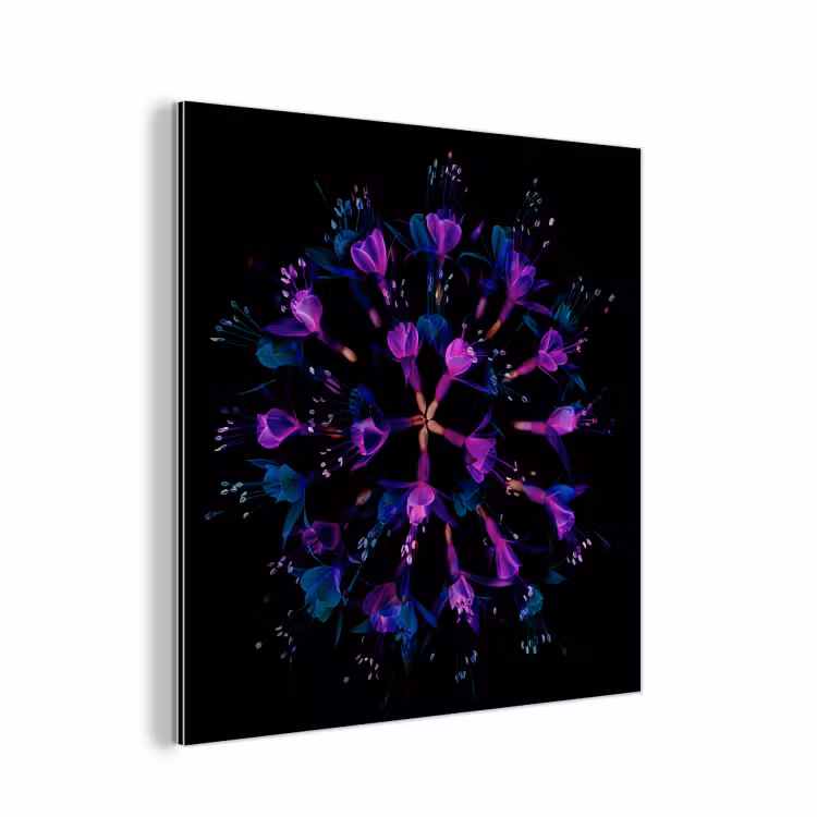 Bloem - Paars - Blauw - Macro - Zwart aluminium wit klein -3d