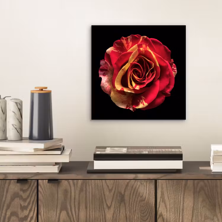 Bloem - Roos - Rood - Zwart aluminium wit klein -sfeer1