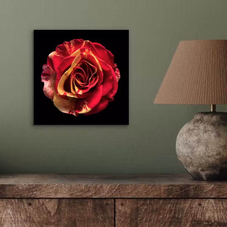 Bloem - Roos - Rood - Zwart aluminium wit klein -sfeer2