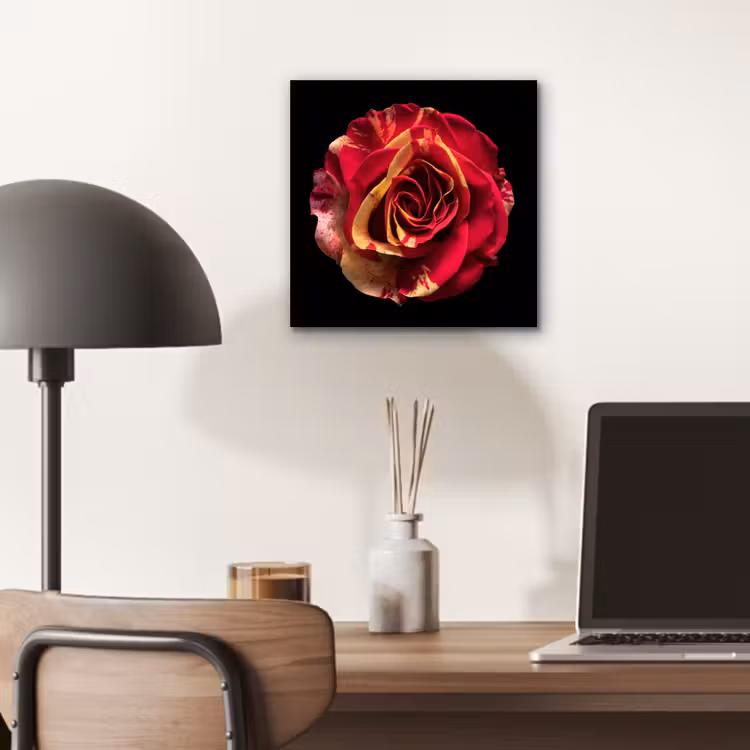 Bloem - Roos - Rood - Zwart aluminium wit klein -sfeer5