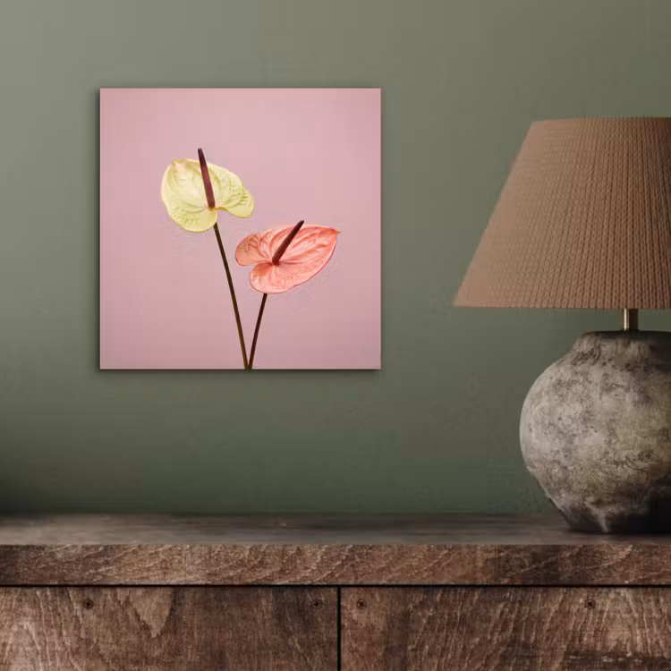 Bloemen - Anthuriums - Geel - Roze aluminium wit klein -sfeer2