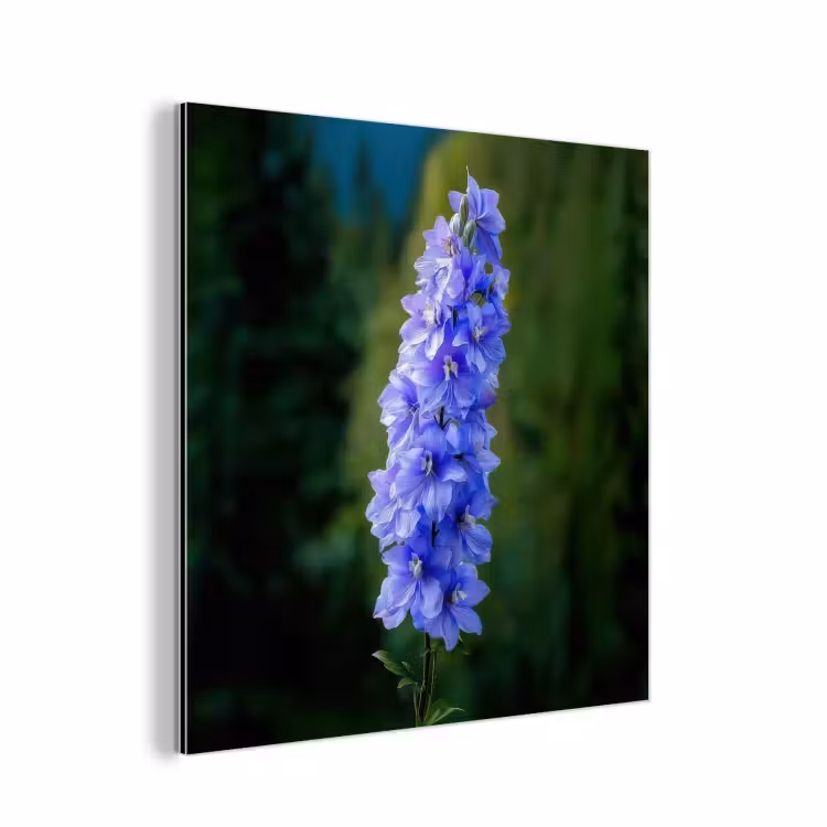 Bloemen - Blauw - Dennenboom aluminium wit klein -3d