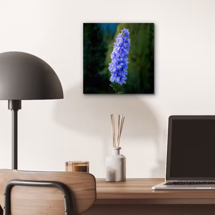 Bloemen - Blauw - Dennenboom aluminium wit klein -sfeer5