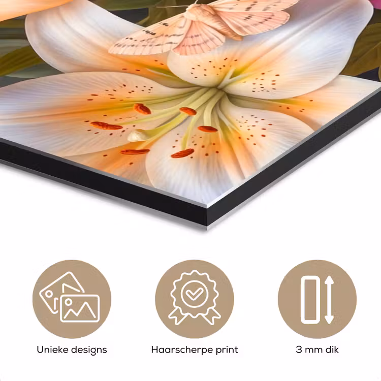 Bloemen - Boeket - Natuur - Kleurrijk - Modern aluminium wit klein -closeup_NL