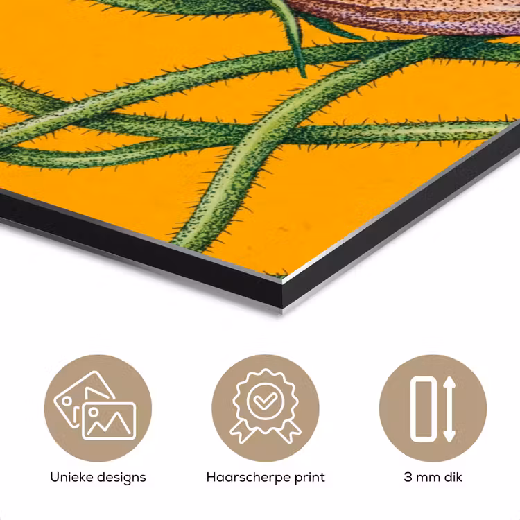 Aluminium schilderij - Bloemen - Botanisch - Geel - Bloemen - Botanisch - Geel aluminium wit klein