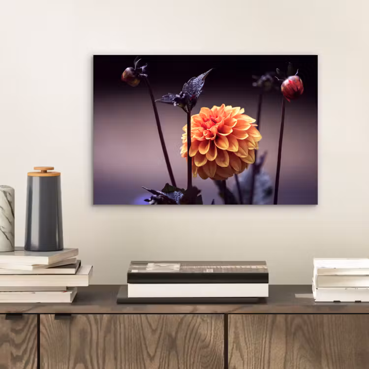 Bloemen - Chrysant - Macro - Planten aluminium wit klein -sfeer1