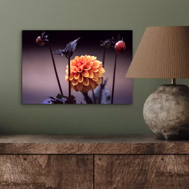 Bloemen - Chrysant - Macro - Planten aluminium wit klein -sfeer2