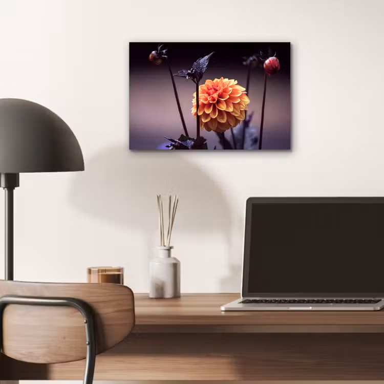 Bloemen - Chrysant - Macro - Planten aluminium wit klein -sfeer5