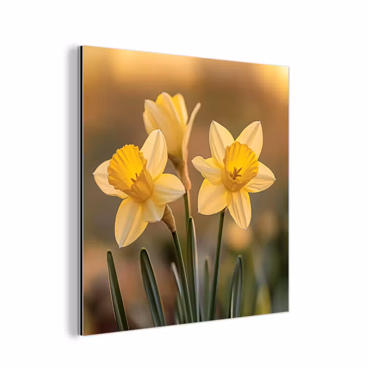 Bloemen - Geel - Wazig aluminium wit klein -3d