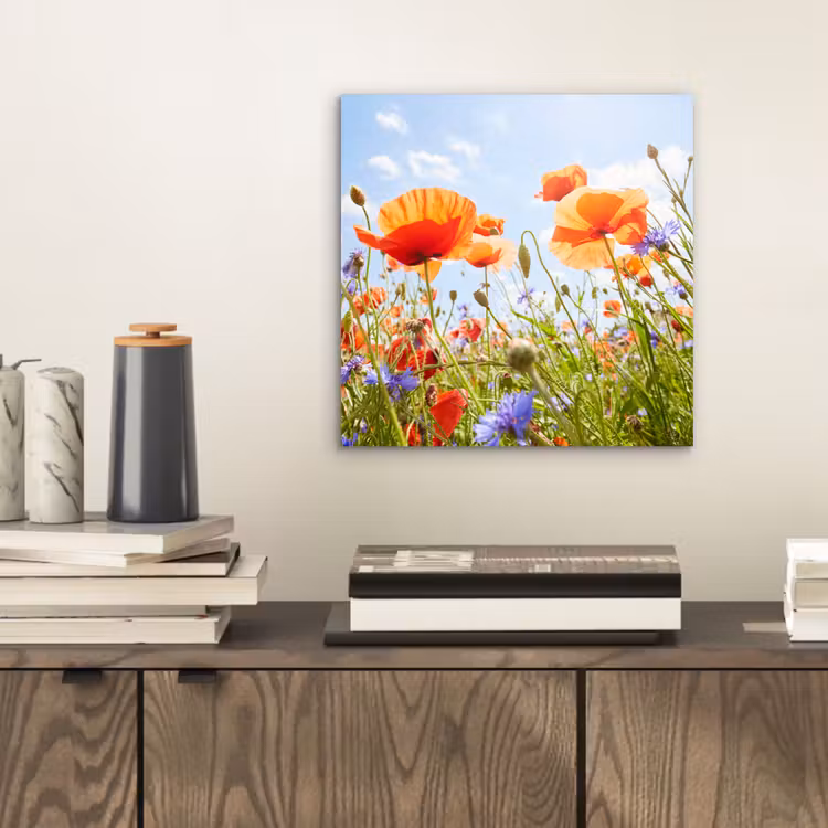 Bloemen - Klaproos - Lente - Natuur - Rood - Blauw aluminium wit klein -sfeer1