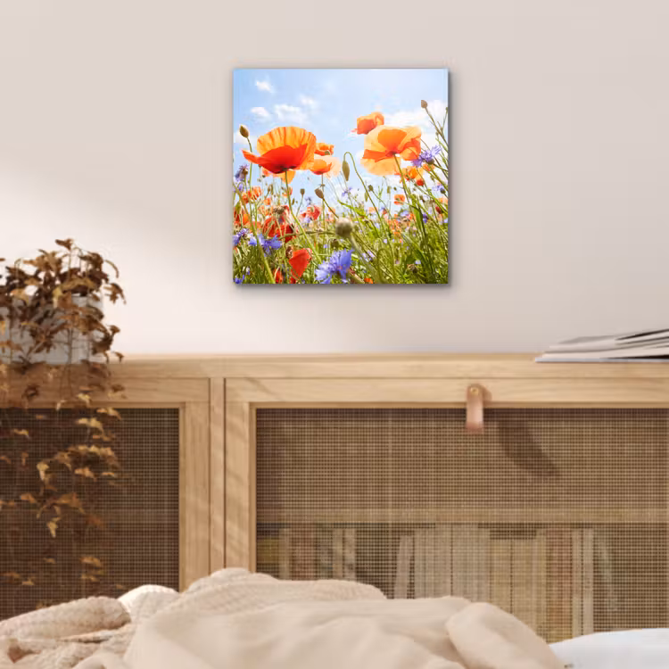Bloemen - Klaproos - Lente - Natuur - Rood - Blauw aluminium wit klein -sfeer3