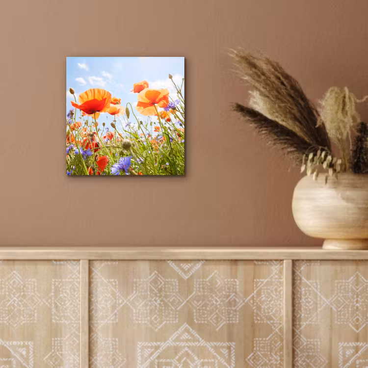 Bloemen - Klaproos - Lente - Natuur - Rood - Blauw aluminium wit klein -sfeer4