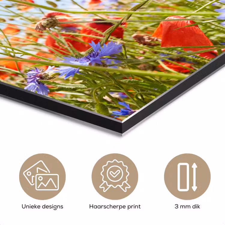 Bloemen - Klaproos - Lente - Natuur - Rood - Blauw aluminium wit klein -closeup_NL